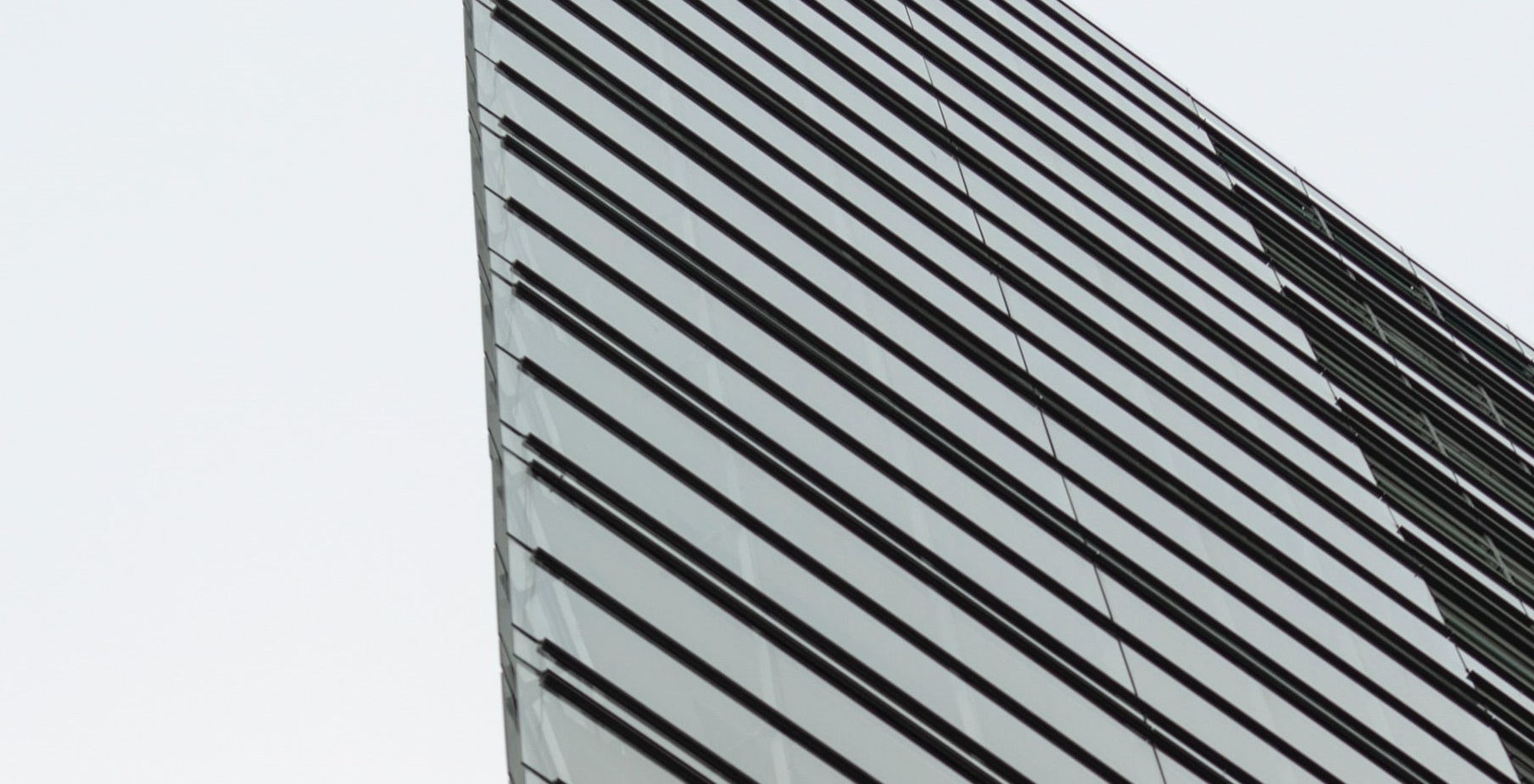 markus-spiske-hkZ7cAI9CIE-unsplash.jpg